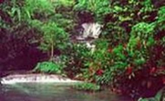 Jamaica Falls